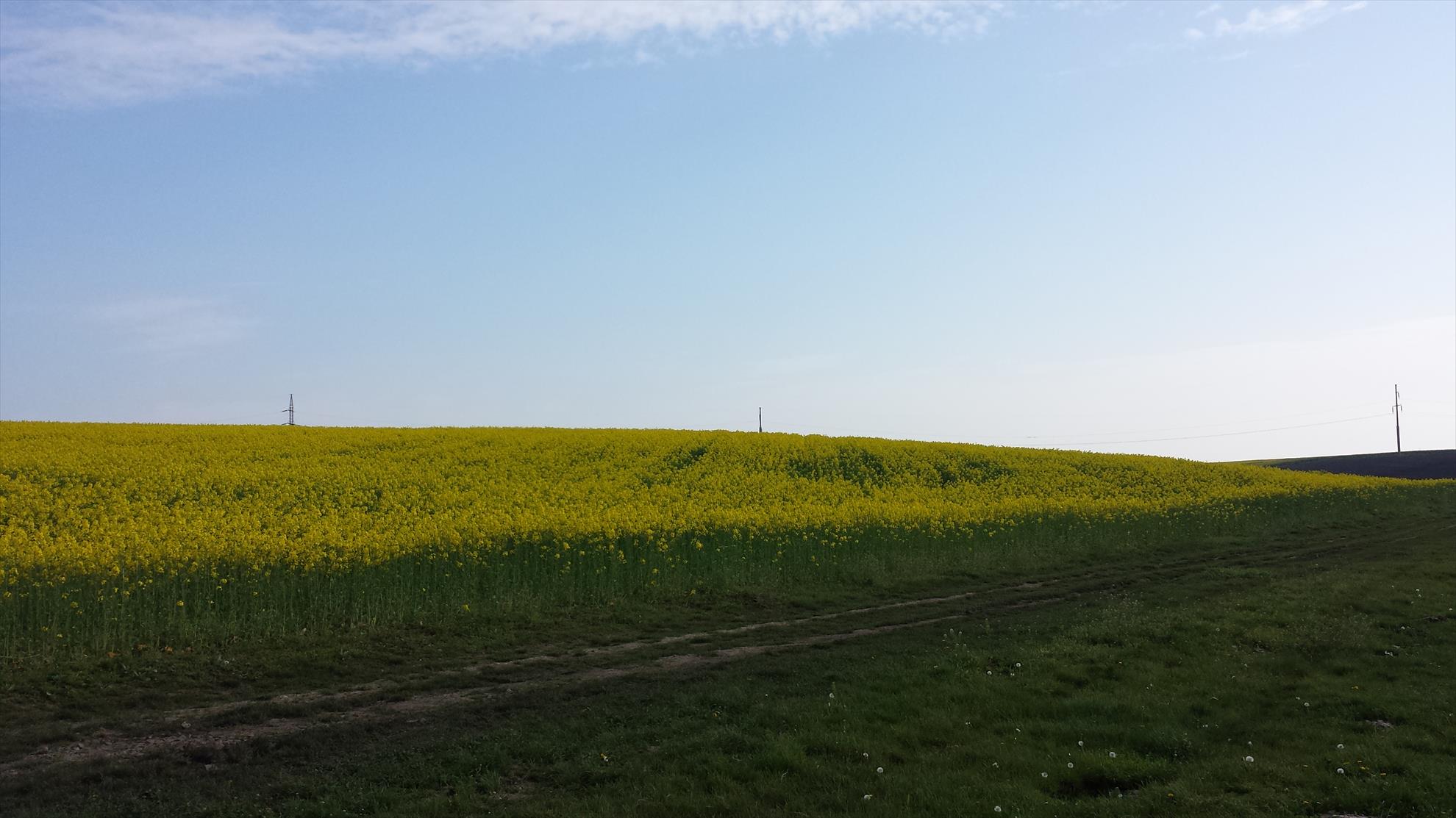 Lupsanu 1 22 aprilie 2014 - 20140422090800.jpg